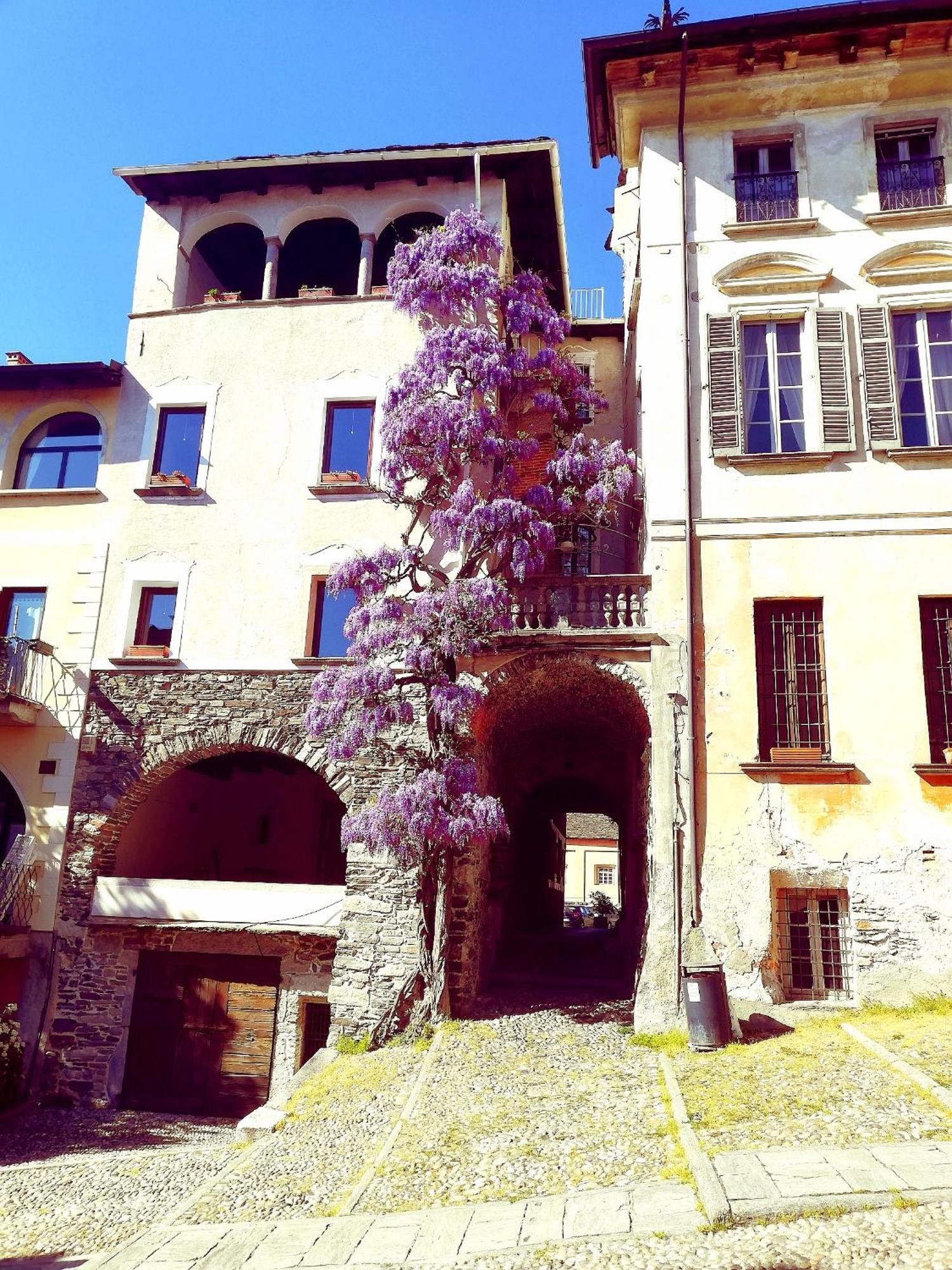 Casa Longhi Apartment Orta San Giulio Exterior foto